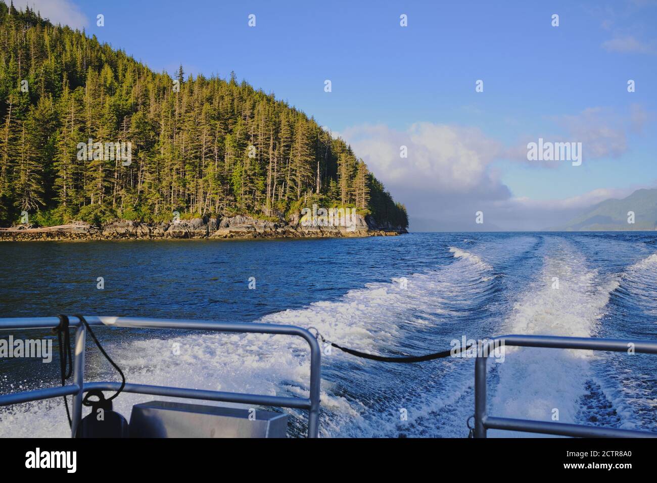 Dense forest grows right down to steep, rocky shoreline of Knight Inlet - Canada's largest fjord.  Wake produced behind a small boat sparkles Stock Photo