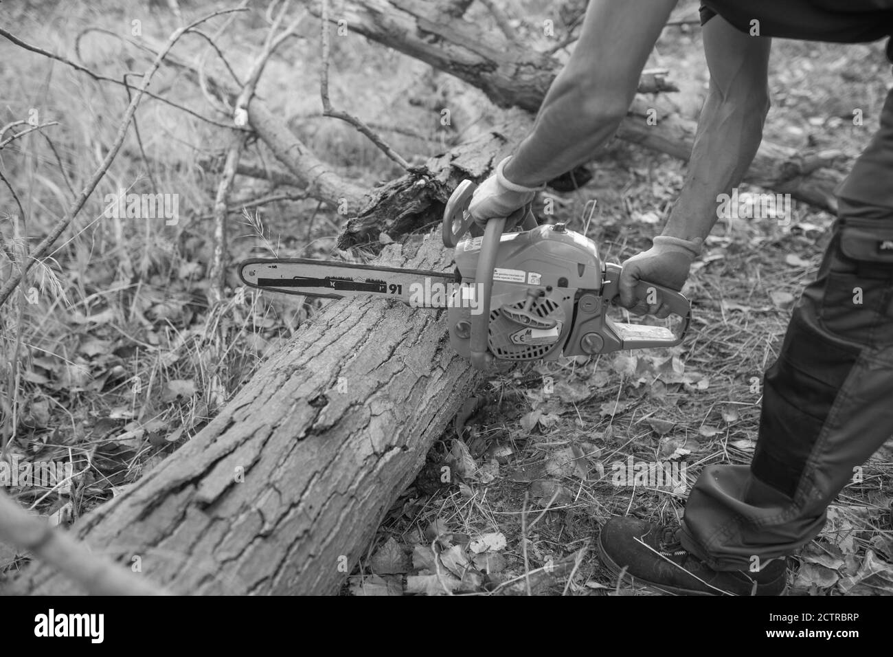 Grayscale shot of a lumberjack with a chainsaw in a forest Stock Photo
