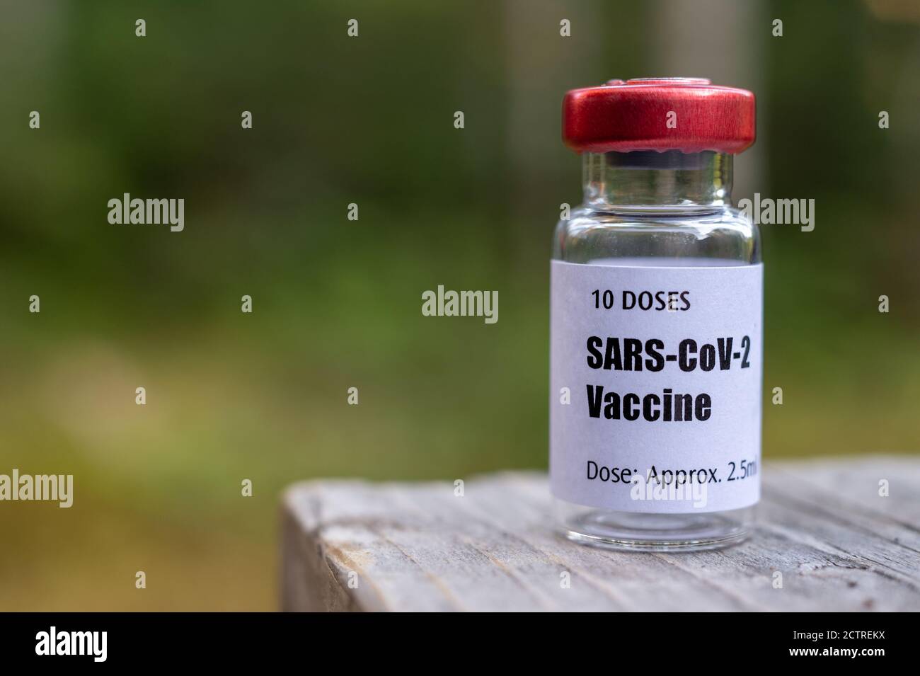 Vial of Covid-19 coronavirus vaccine over nature background Stock Photo