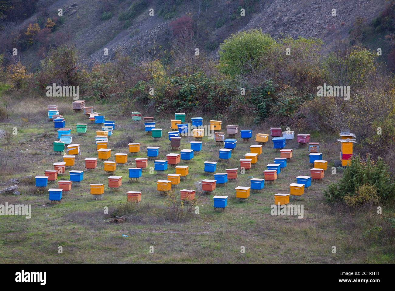Bee hives located in the mountains close to the border with Armenia are moved with the seasons to find better flowers in Nagorno Karabakh. Stock Photo
