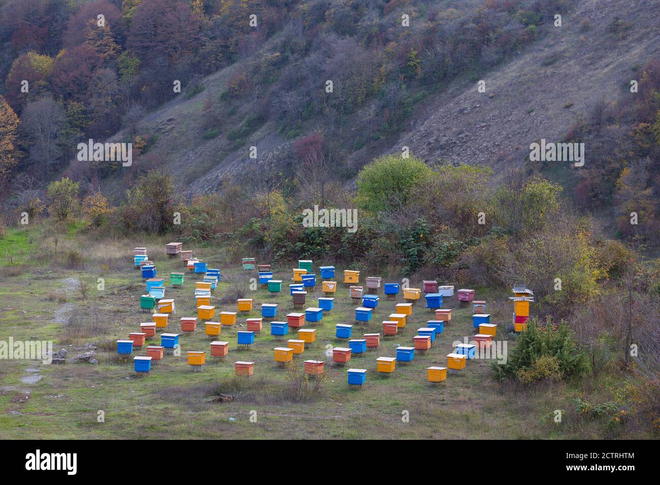 Bee hives located in the mountains close to the border with Armenia are moved with the seasons to find better flowers in Nagorno Karabakh. Stock Photo