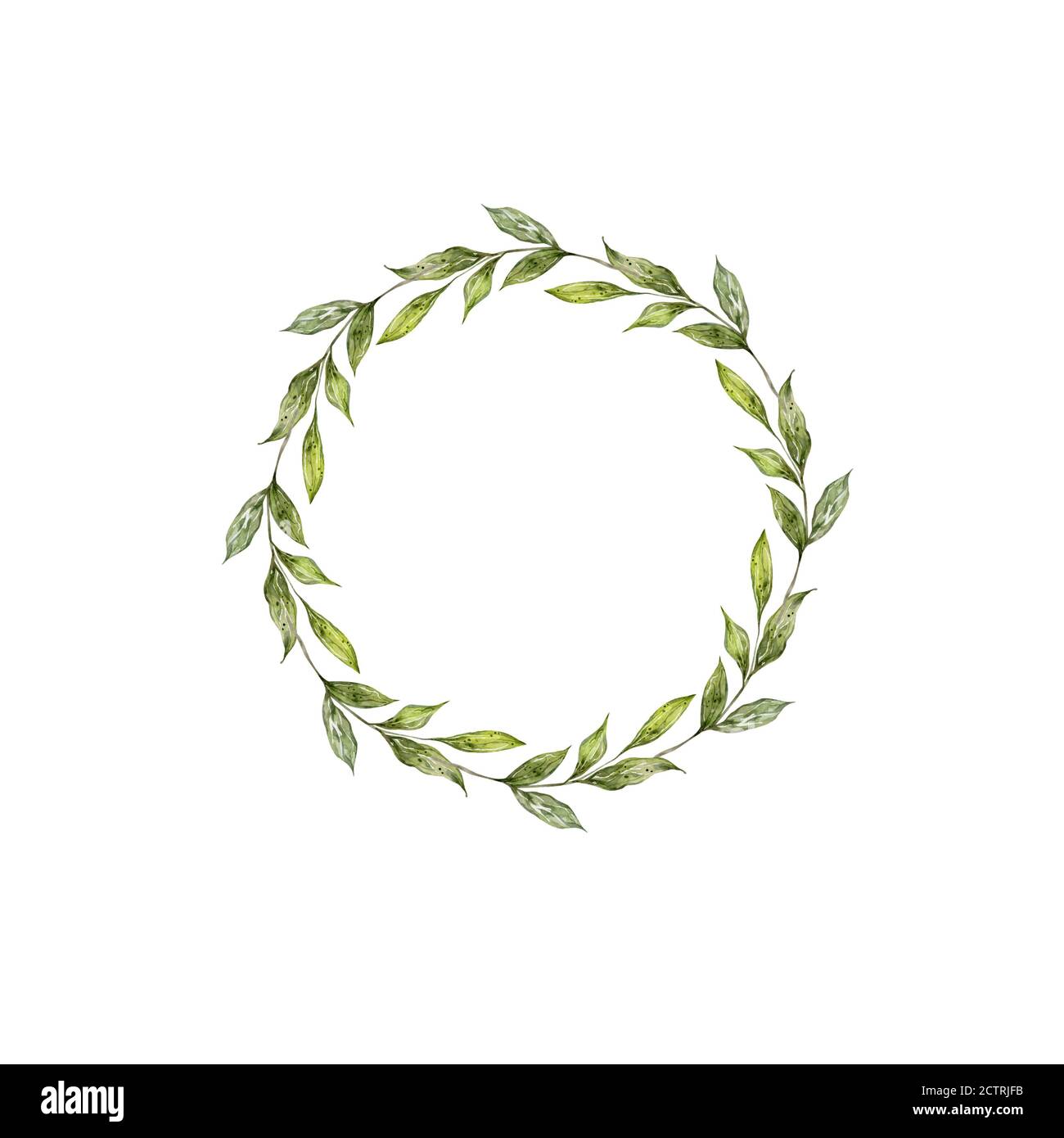 Olive Leaves Ribbon