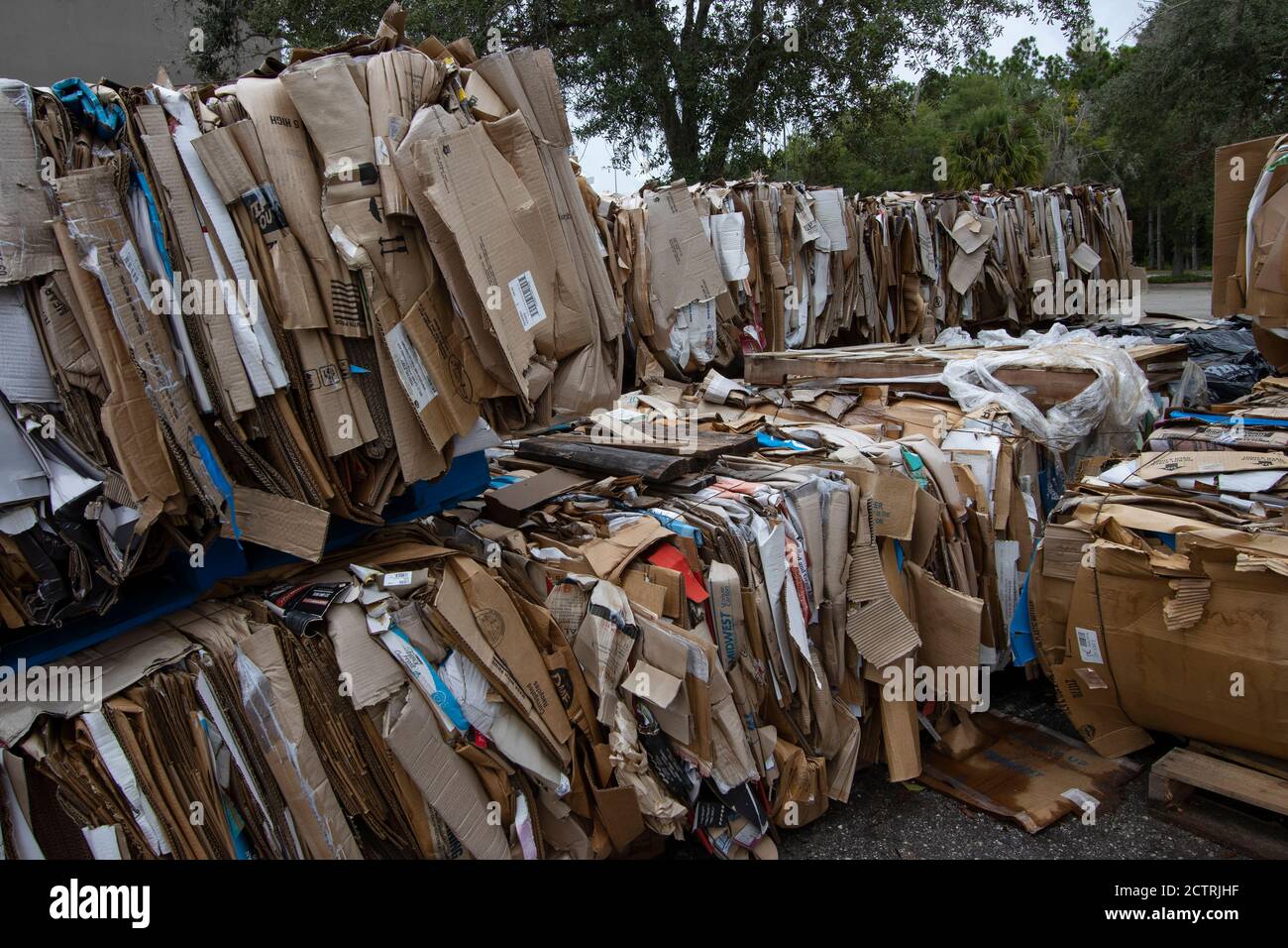Cardboard boxes bundled outside a large retail store awaiting pickup