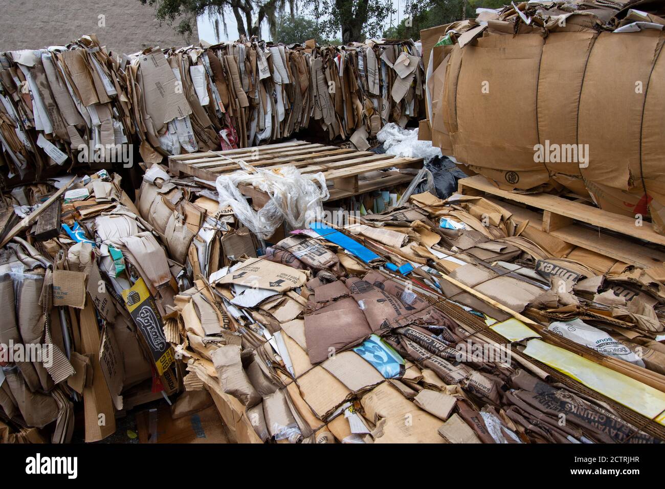 Cardboard boxes bundled outside a large retail store awaiting pickup