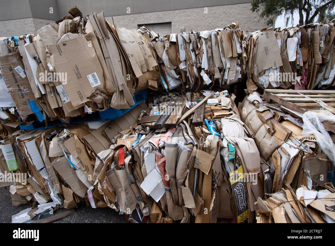 Cardboard boxes bundled outside a large retail store awaiting pickup