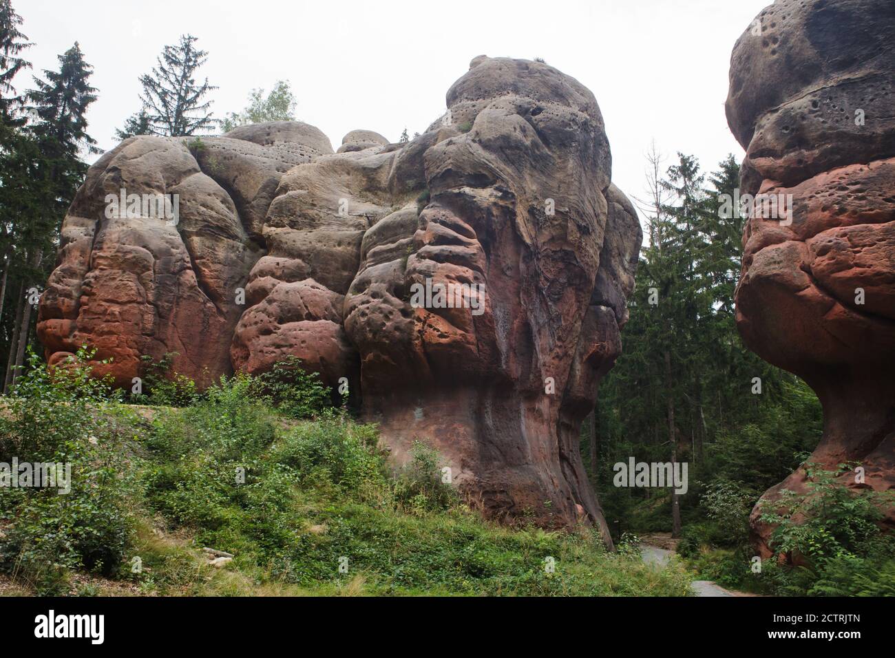 Kelchsteine (Chalice Rocks) also known as the Rosensteine (Rose Rocks) in the Zittau Mountains near Oybin in Saxony, Germany. Stock Photo