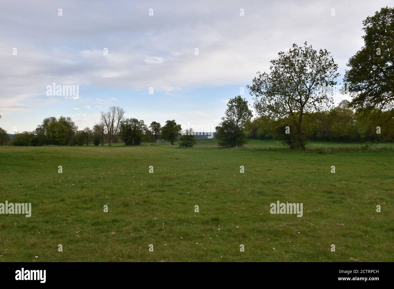 Countryside on the Marston Estate, near Frome, Somerset Stock Photo