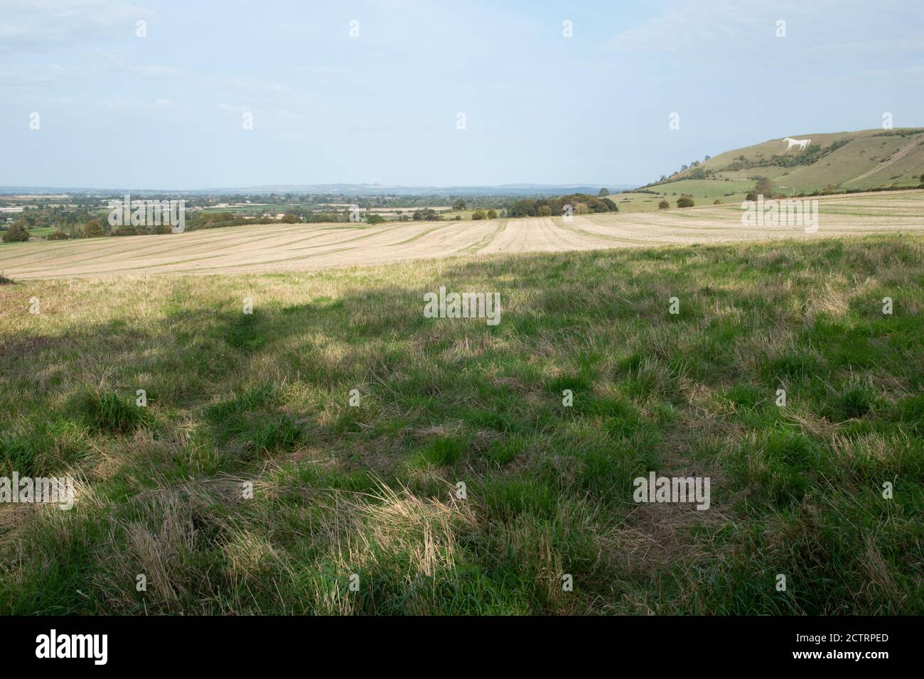 The westbury White Horse, Wiltshire, UK Stock Photo