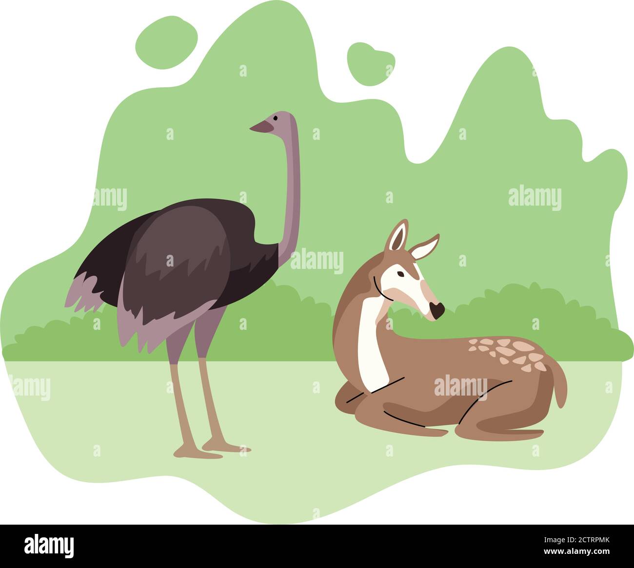 wild ostrich and gazelle animals nature icons vector illustration 