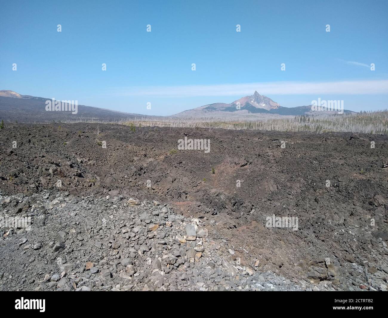Lava fields in Willamette National Forest seen from Dee Wright Observatory near Sisters, Oregon. Stock Photo