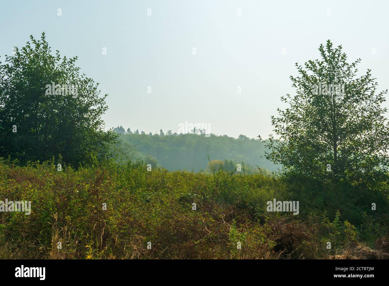Smoke from Oregon wildfires creates unhealthy air quality in Washington Stock Photo Alamy