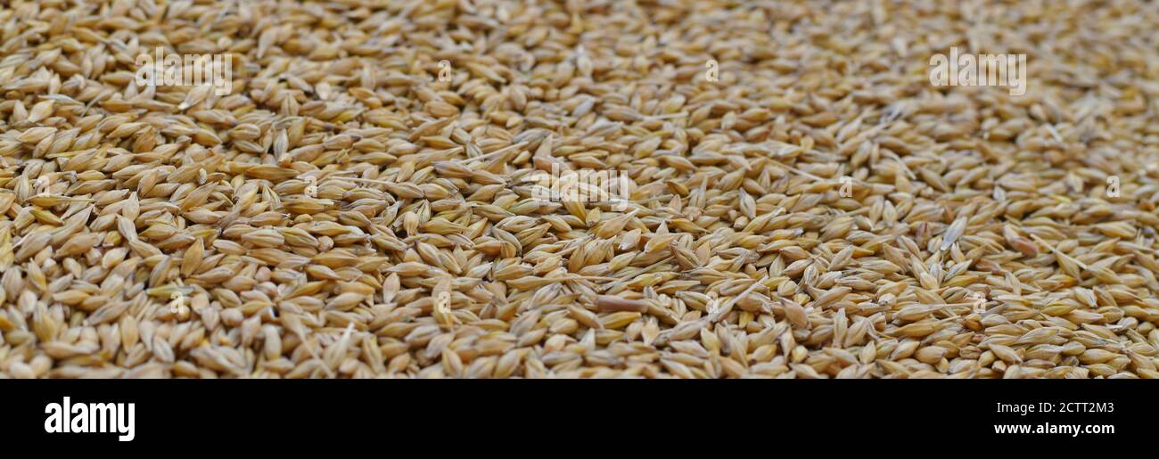 Grocery grains hi-res stock photography and images - Alamy