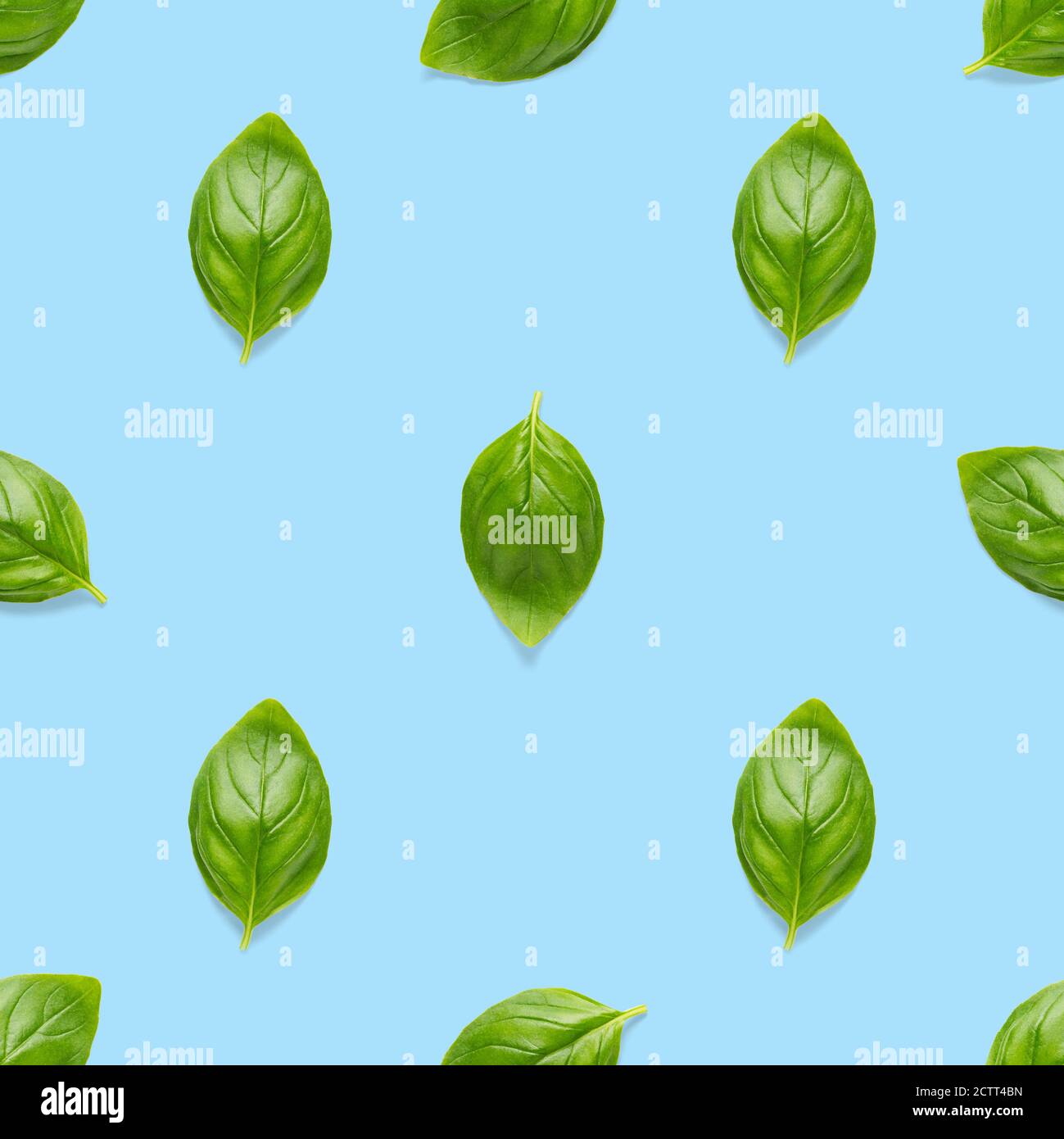 Italian Basil leaf herb seamless pattern on blue background, Creative seamless pattern made from fresh green basil flat lay layout. Stock Photo