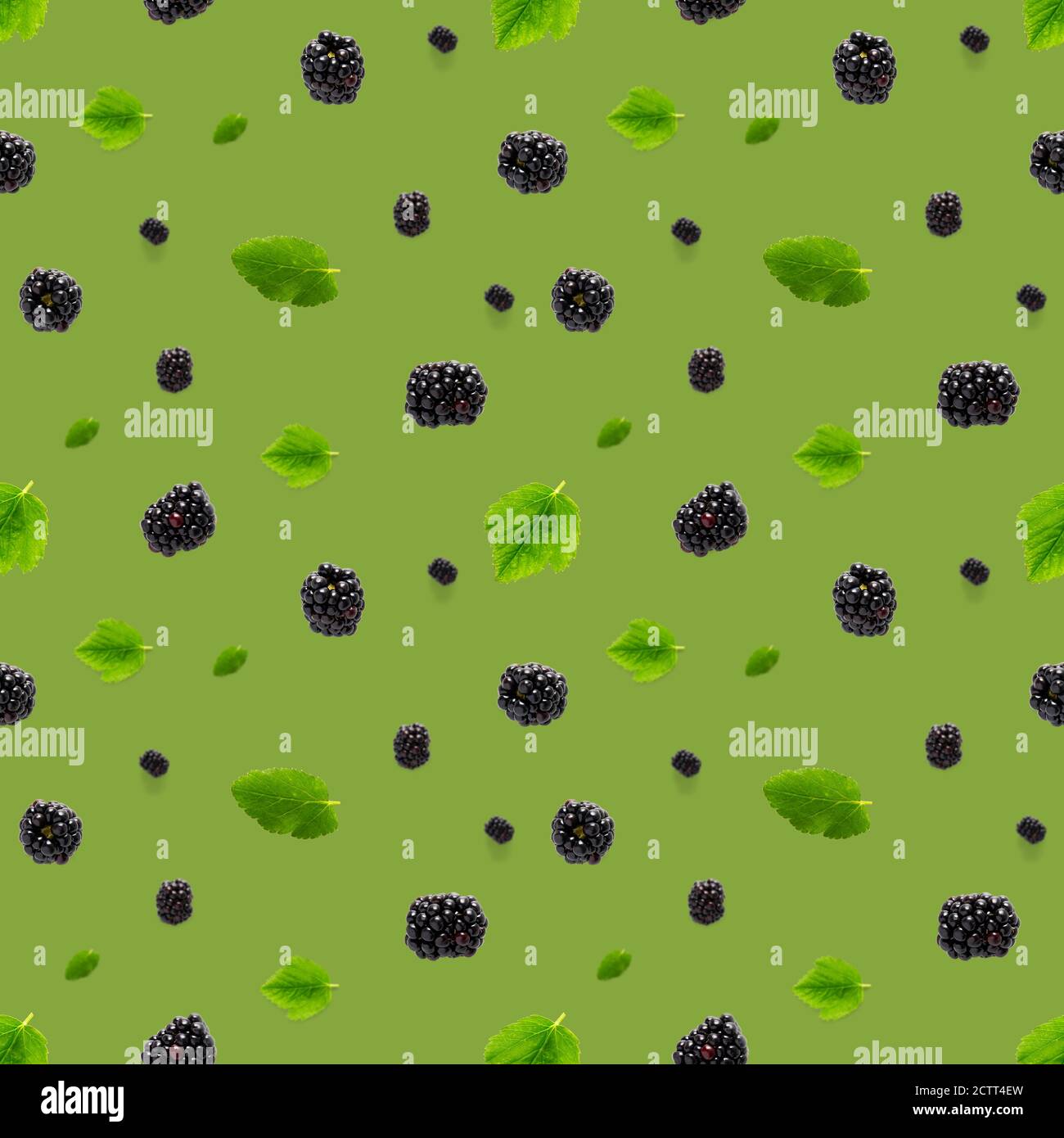 Falling Bramble Seamless pattern. Fresh Falling blackberry seamless pattern. Pattern with fresh wild berries isolated on green background. Stock Photo