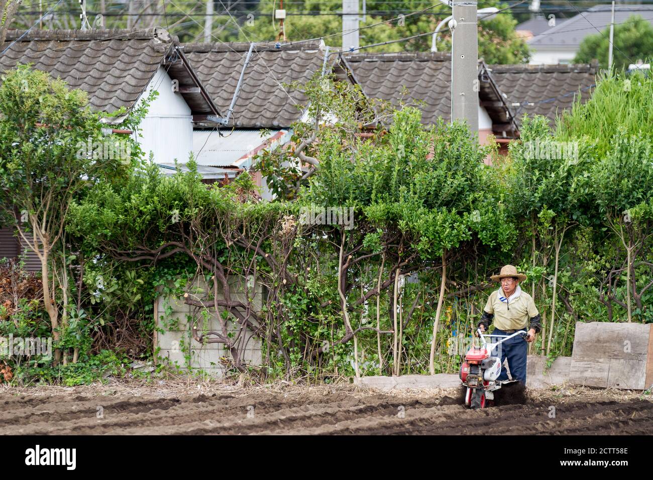 An older Japanese man ploughing a field in a small farm near Yamato, Kanagawa, Japan. Stock Photo