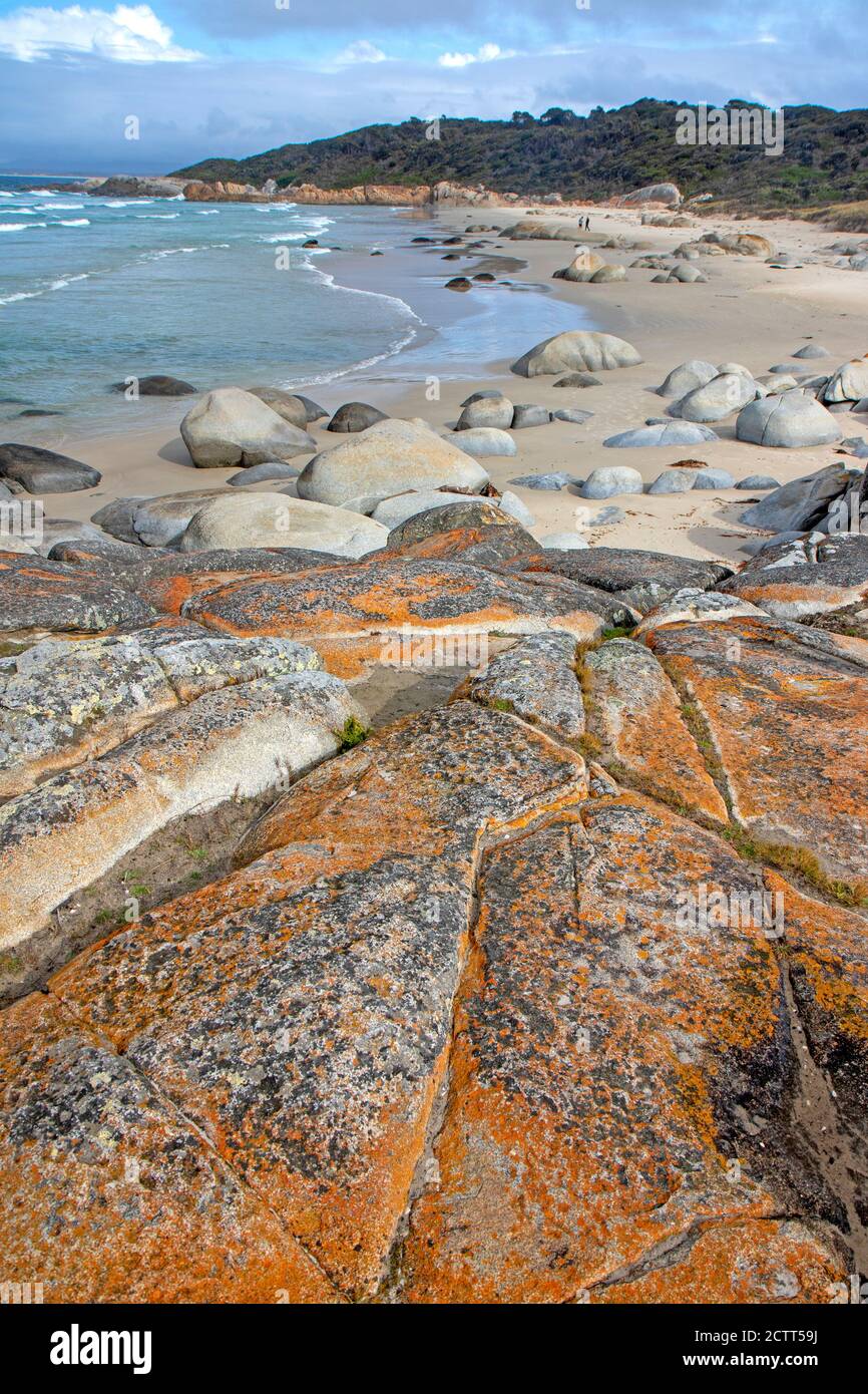 Beerbarrel Beach on St Helens Point Stock Photo Alamy