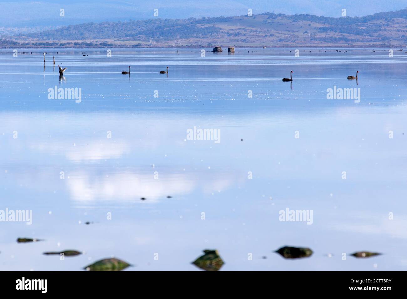 Moulting Lagoon, Freycinet Peninsula Stock Photo