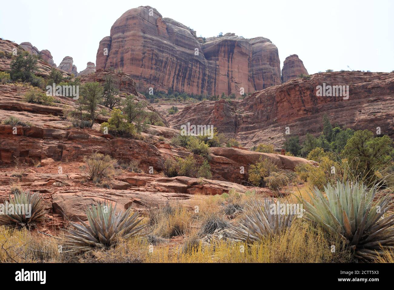 Around Sedona in Arizona Stock Photo Alamy