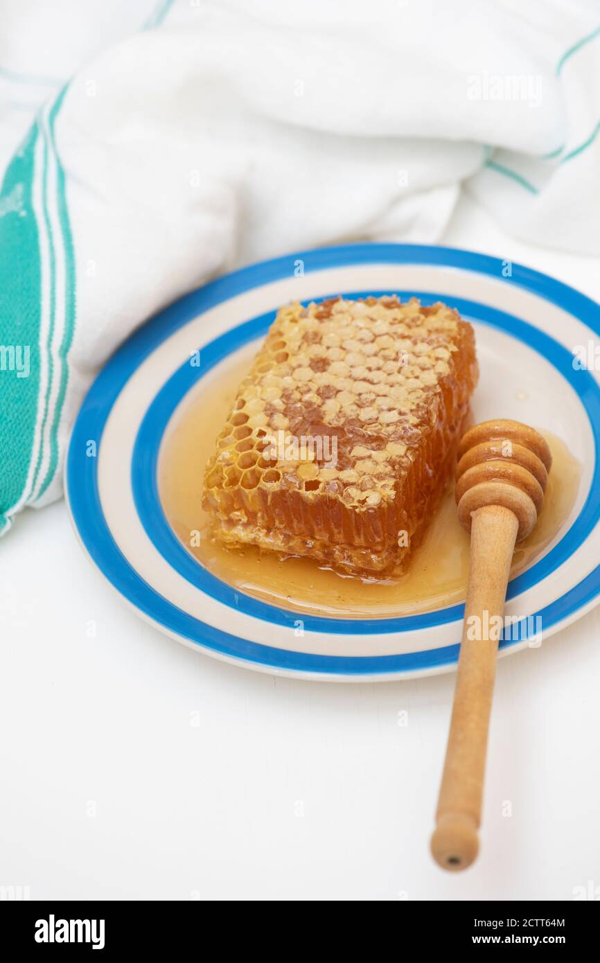Honeycomb on a cornishware plate with a drizzler Stock Photo