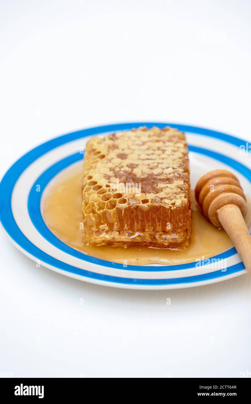 Honeycomb on a cornishware plate with a drizzler Stock Photo