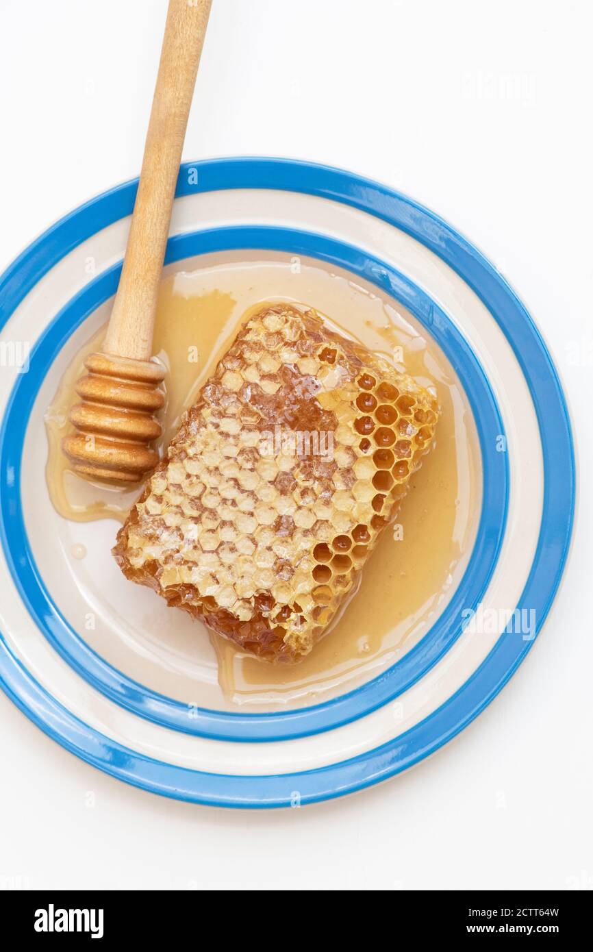 Honeycomb on a cornishware plate with a drizzler Stock Photo