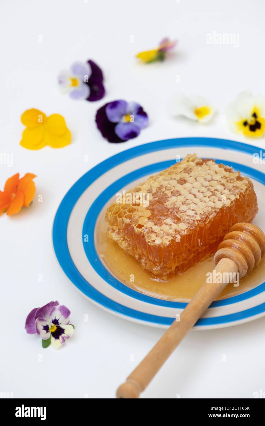 Honeycomb on a cornishware plate with a drizzler and edible flowers Stock Photo