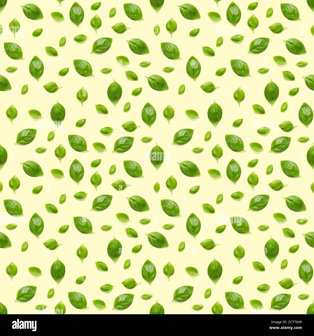 Italian Basil leaf herb seamless pattern on yellow background, Creative seamless pattern made from fresh green basil flat lay layout. Stock Photo