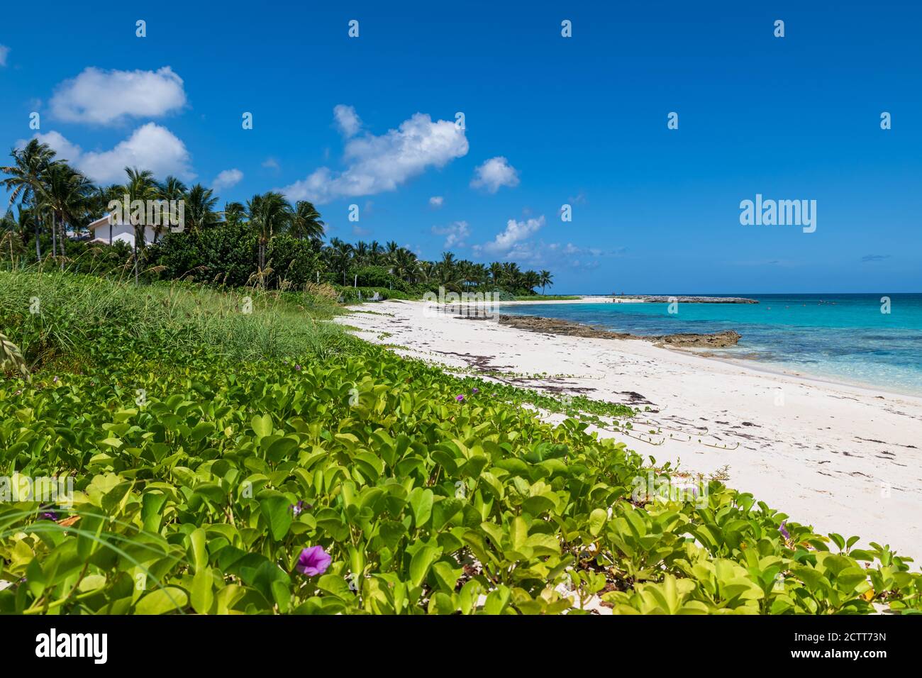 View of Cabbage beach in Paradise Island (Nassau, Bahamas Stock Photo