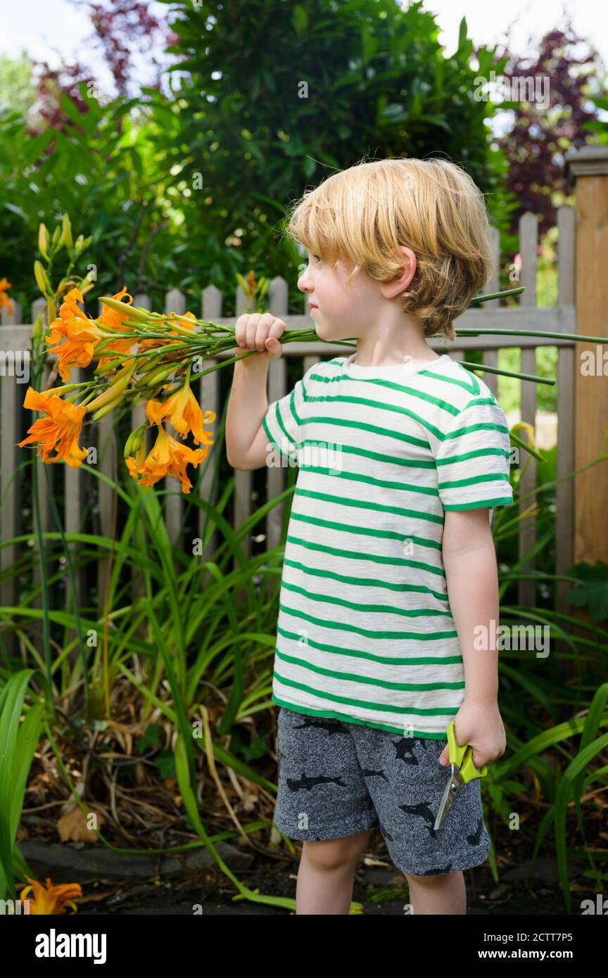 Boy (4-5) with flowers in garden Stock Photo