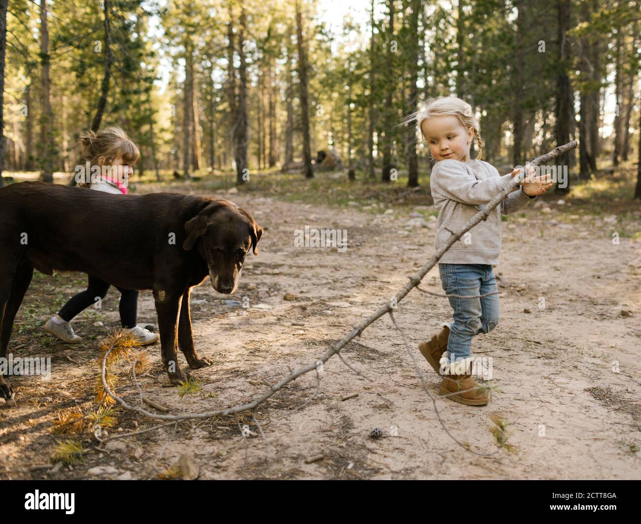 Two girls in forest hi-res stock photography and images - Alamy