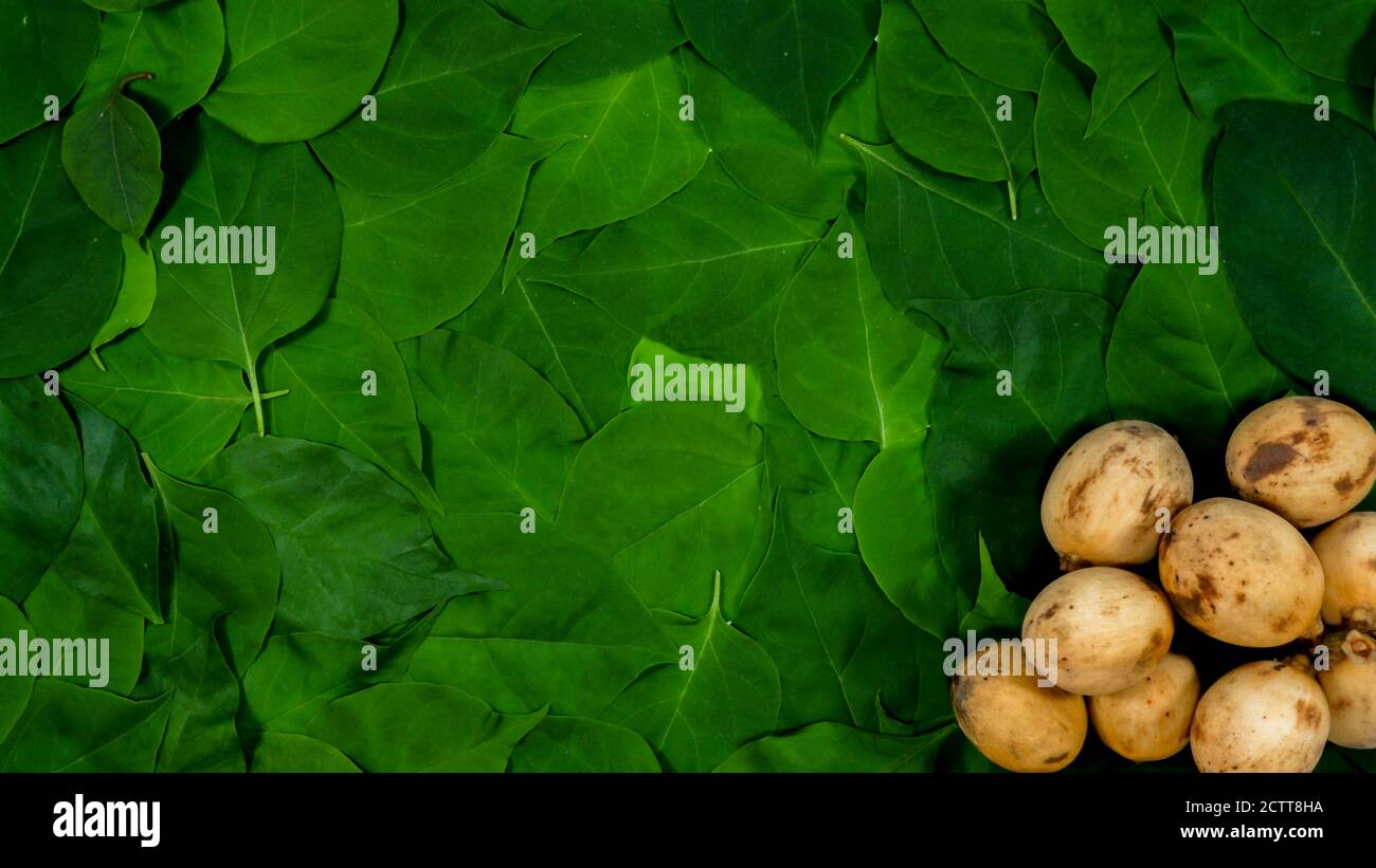 Langsat or lanzones fruit hires stock photography and images Alamy