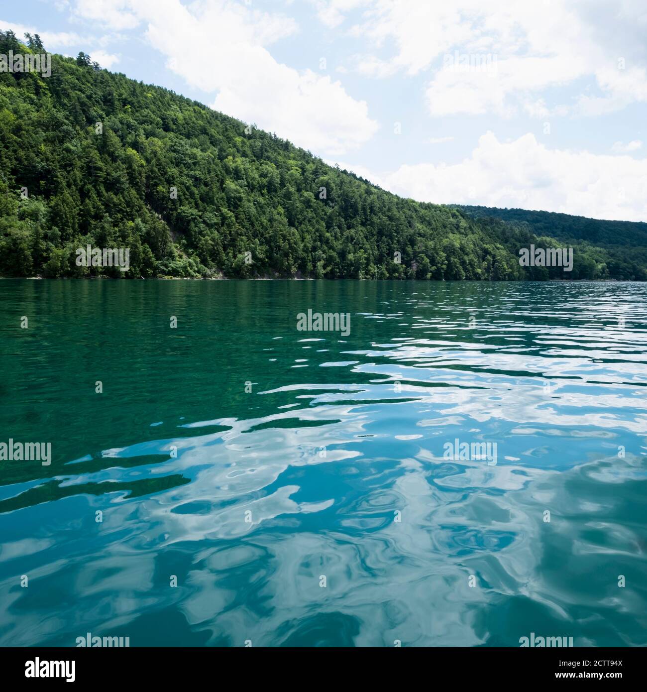 USA, New York, Cooperstown, Otsego Lake, Hill covered with forest at lakeside Stock Photo