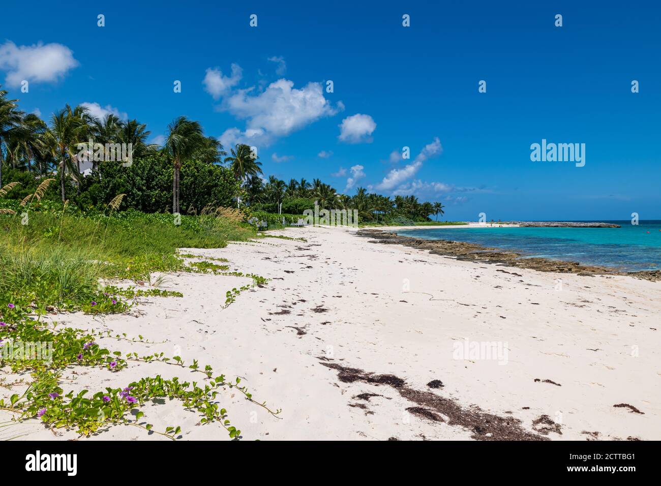 Seascape of Cabbage beach in Paradise Island (Nassau, Bahamas Stock