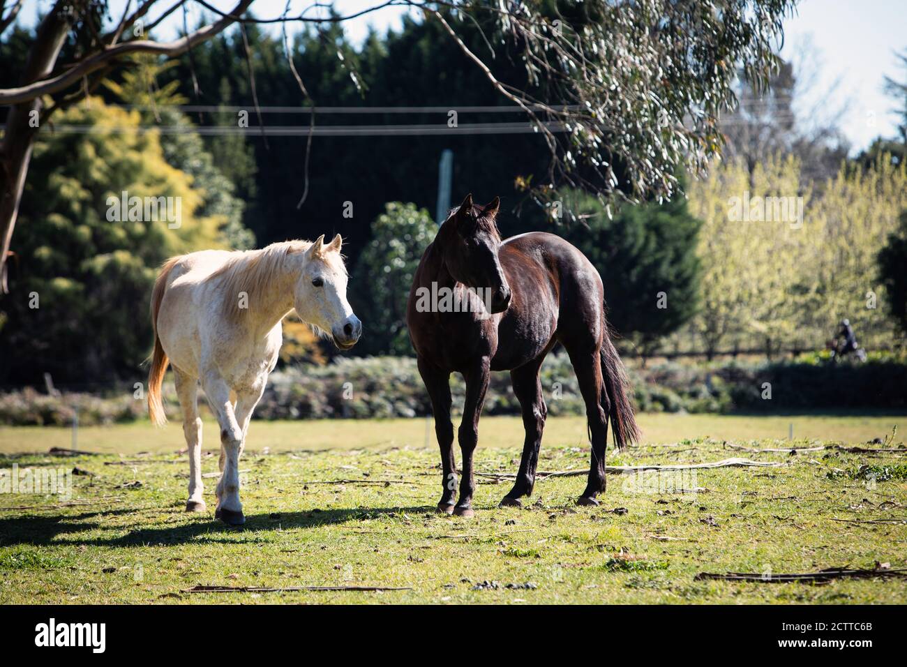 Southern Highlands Farm Stock Photo Alamy