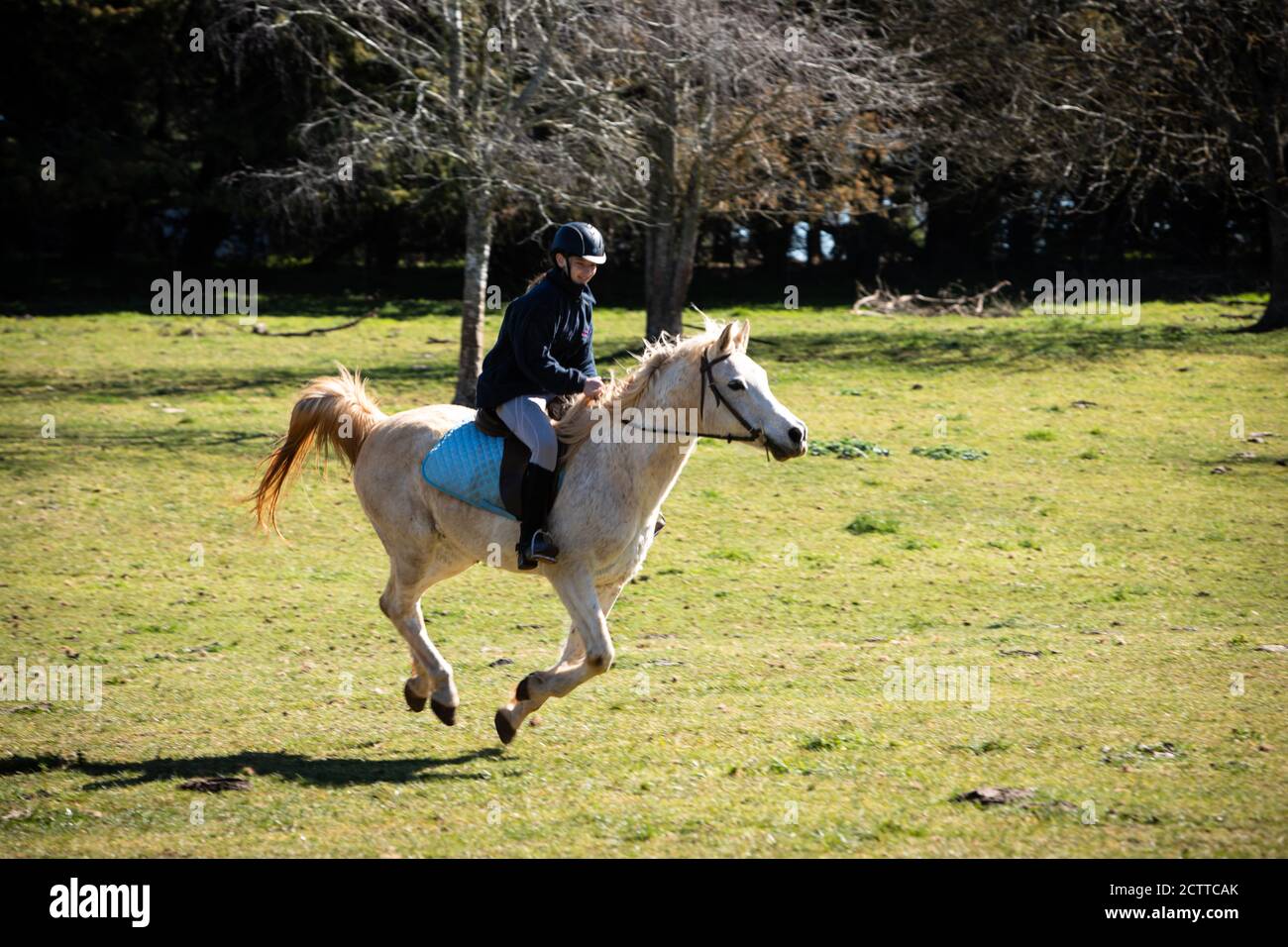 Southern Highlands Farm Stock Photo Alamy