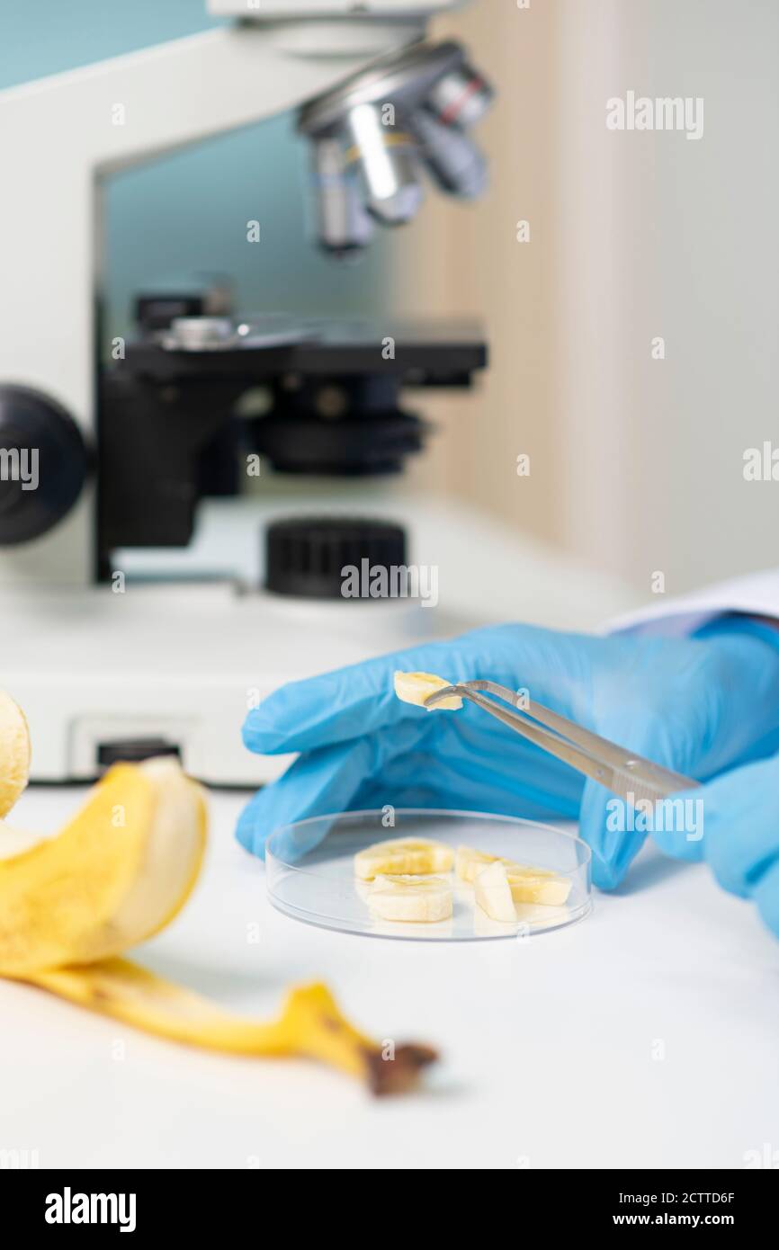 Science, chemistry, biology, and medicine concept, scientist with