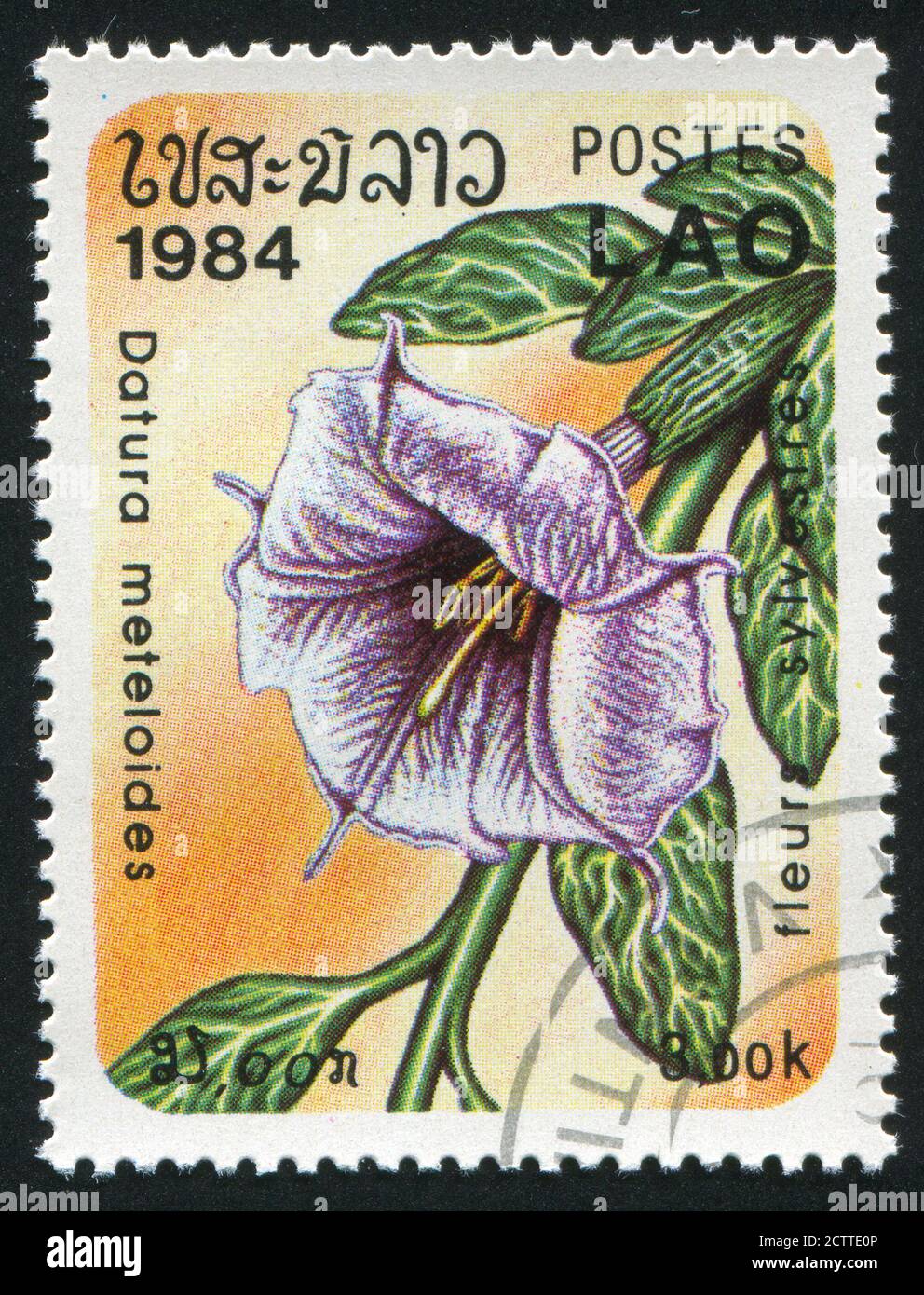 LAOS - CIRCA 1984: stamp printed by Laos, shows Datura meteloides, circa 1984. Stock Photo