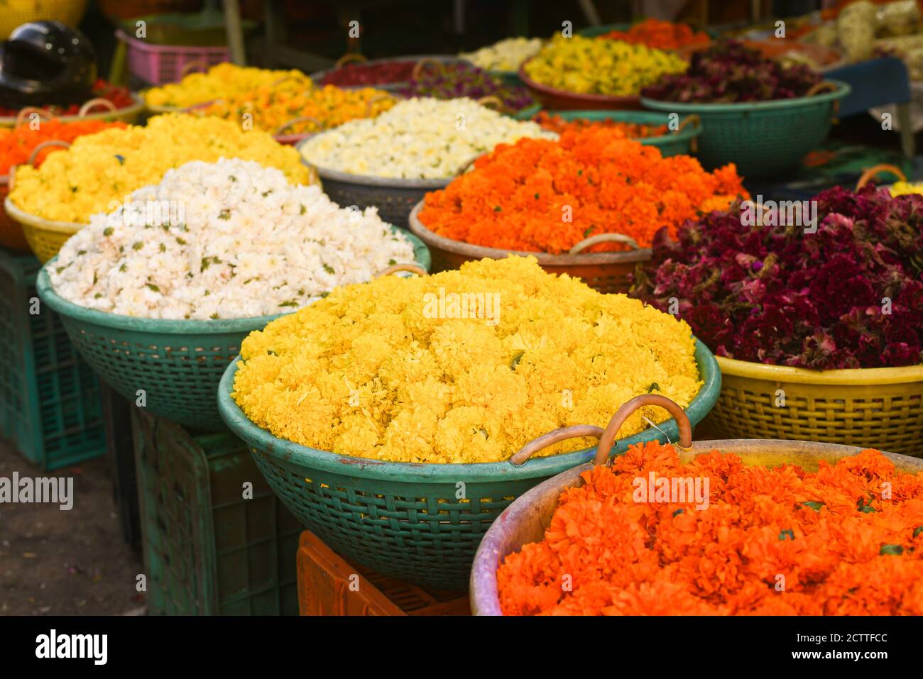 Kerala trivandrum flowers hires stock photography and images Alamy