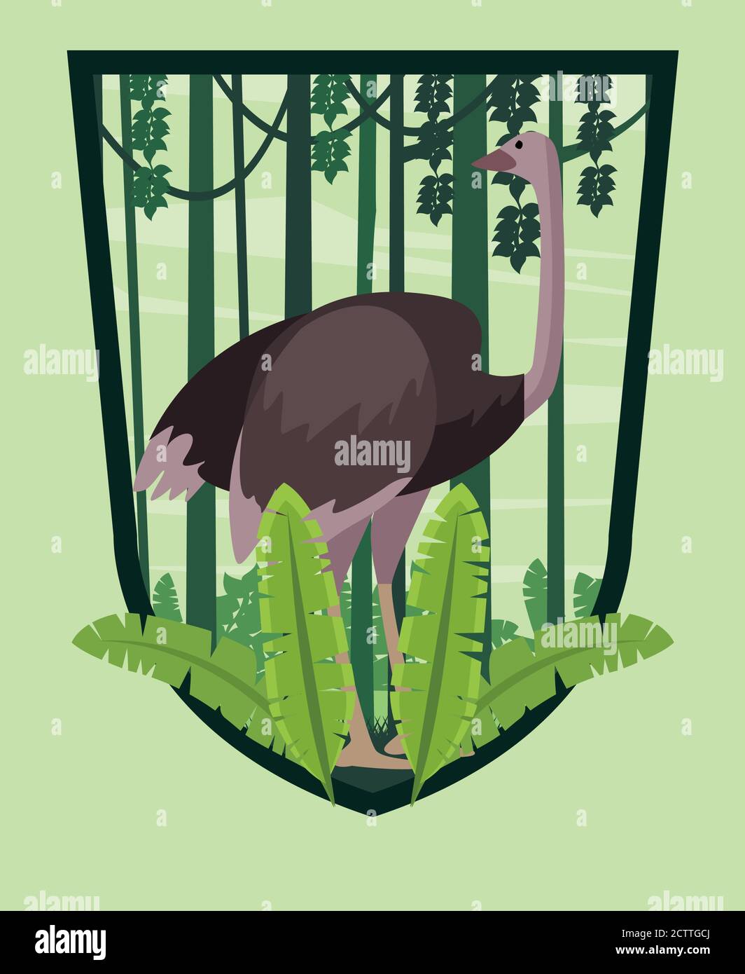 wild ostrich animal in the jungle shield frame vector illustration ...