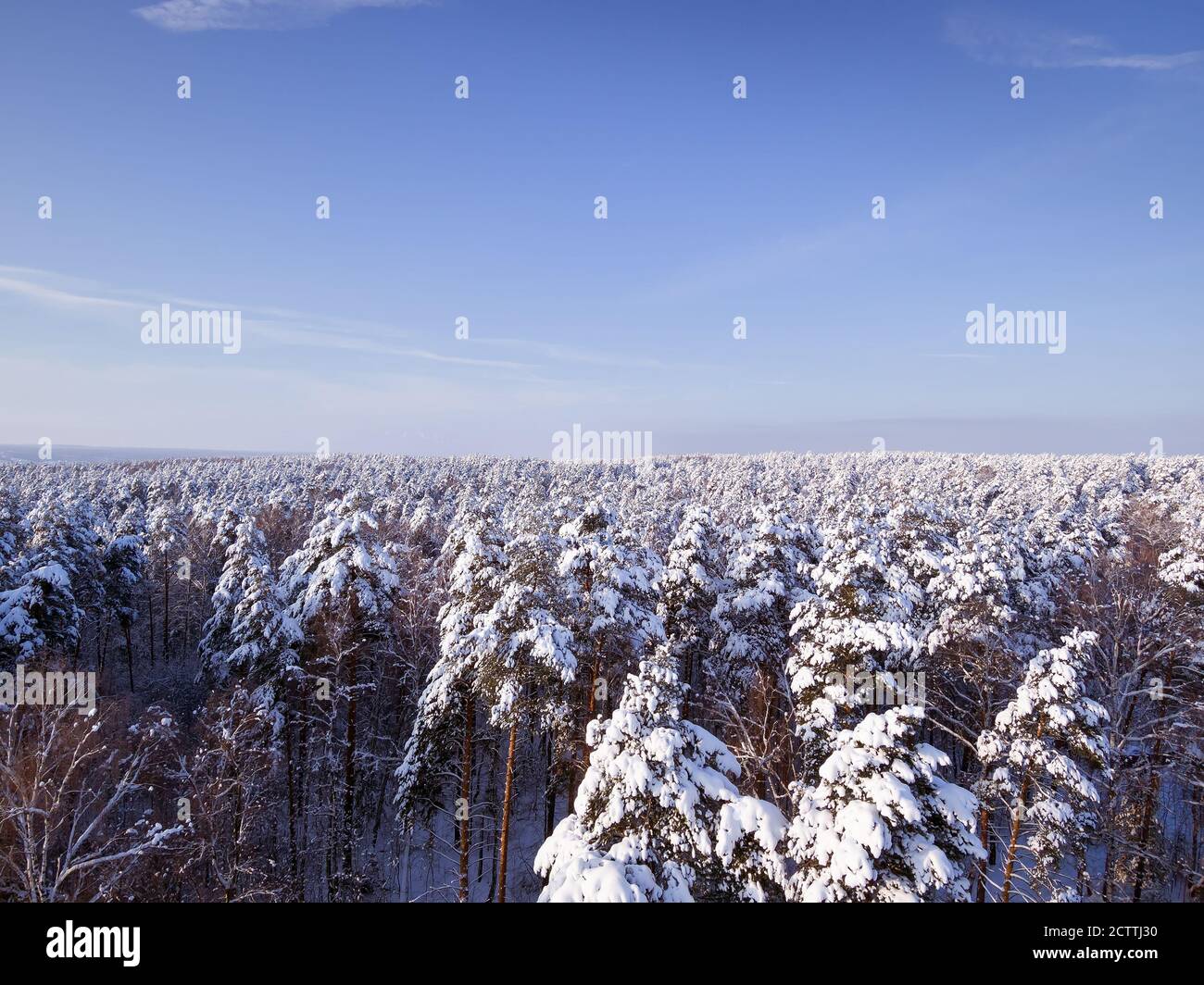 Aerial View Forest High Resolution Stock Photography and Images - Alamy