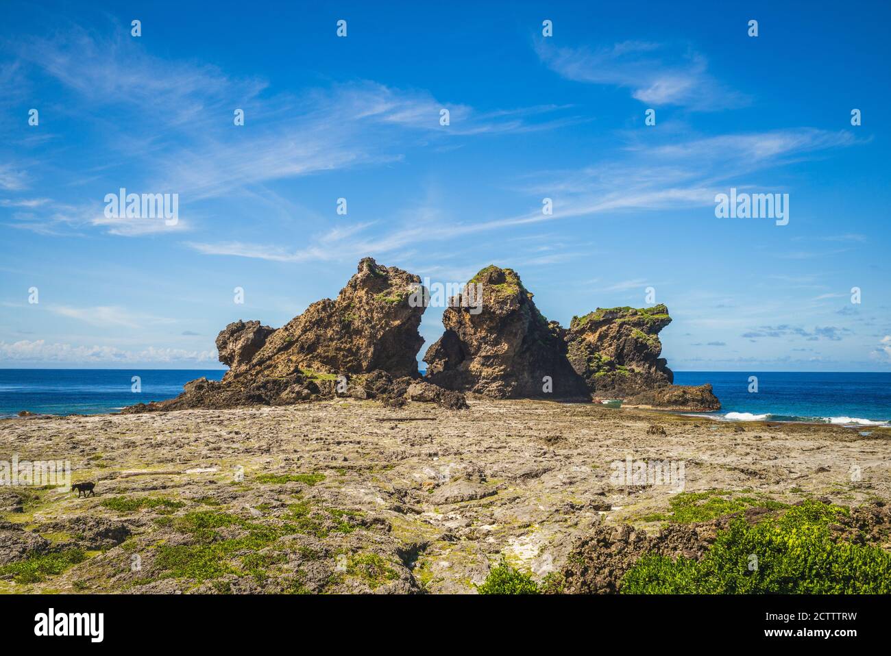 Lion Couple Rock at Lanyu island, taitung, taiwan Stock Photo