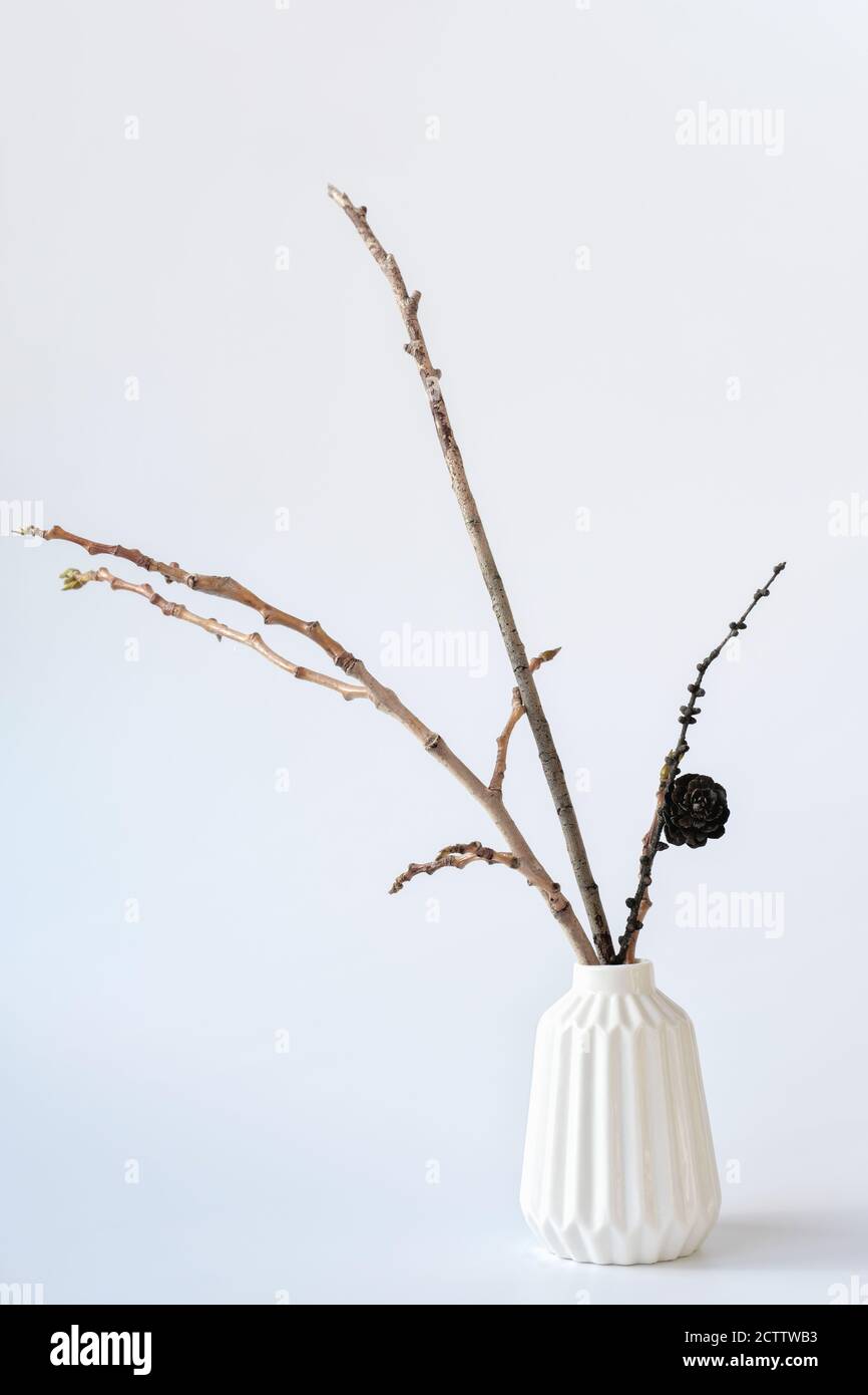 minimal style interior decor. branches in a white vase. hipster home deroration. fir tree cone on a branch. scandinavian interior. vertical size. Stock Photo