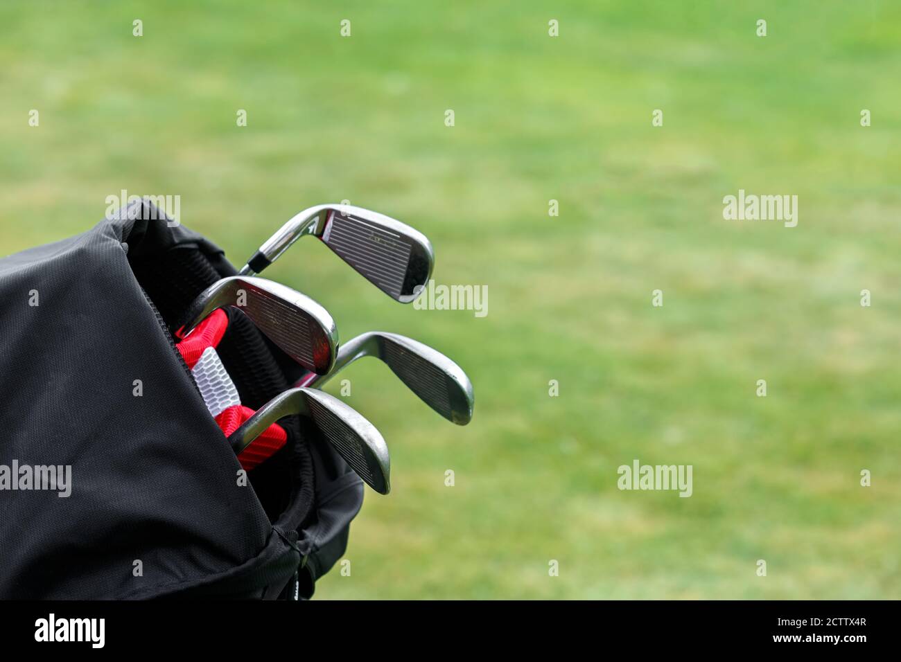 Golf clubs in the trunk. The concept of the game of Golf Stock Photo