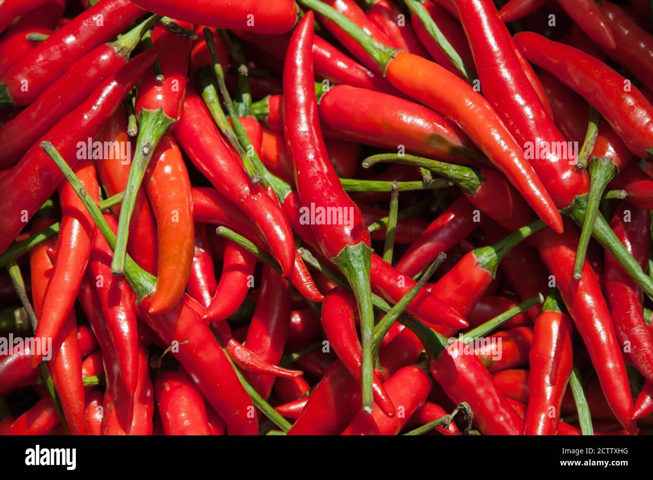 Thai chili peppers on a market stall in Lopburi, Thailand. Stock Photo
