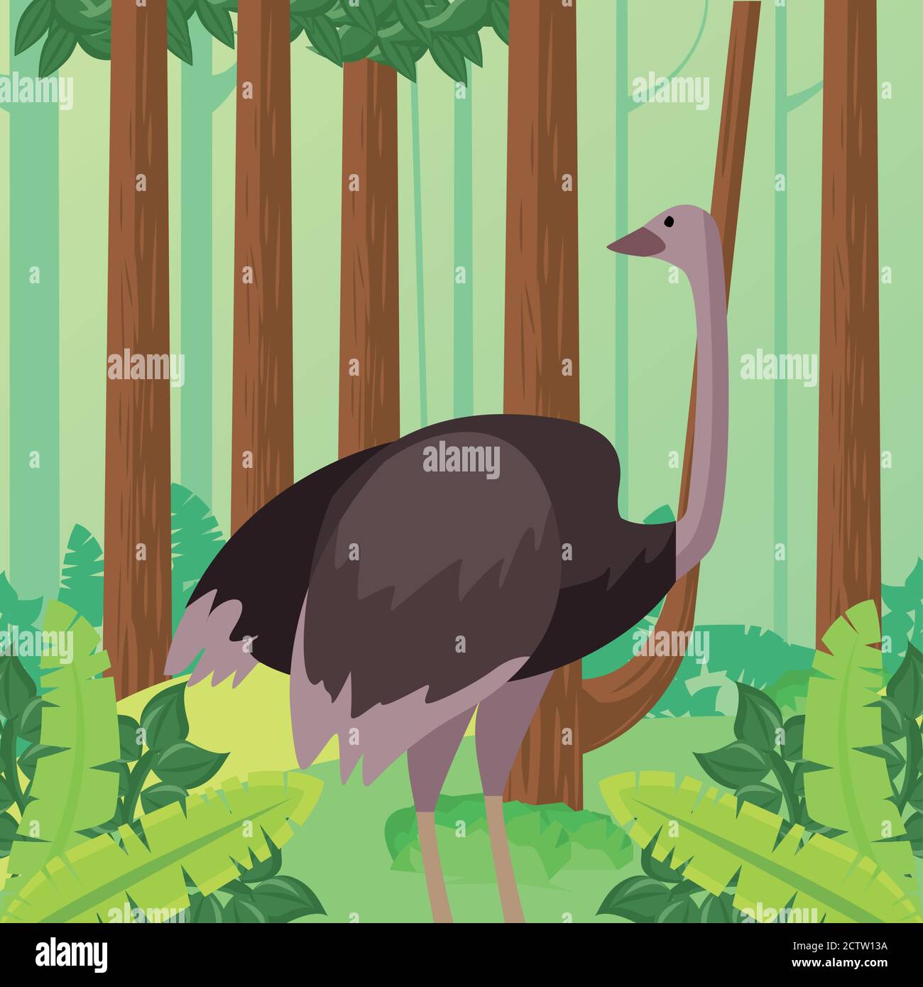 wild ostrich animal in the jungle vector illustration design Stock ...