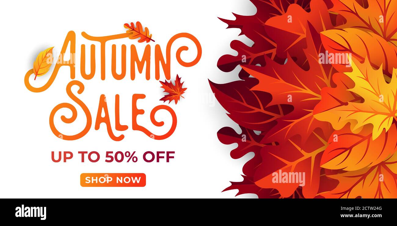 Autumn sale background vector with decorative leaves. Autumn Sale Vector background Illustration. Abstract Autumn Sale background design template for Stock Vector