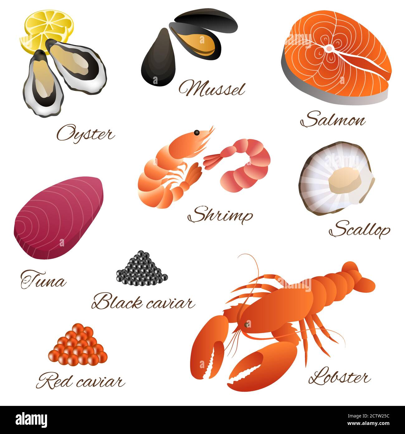 Sea food fish mussel shrimp oyster salmon lobster tuna red black caviar scallop set illustration vector Stock Vector