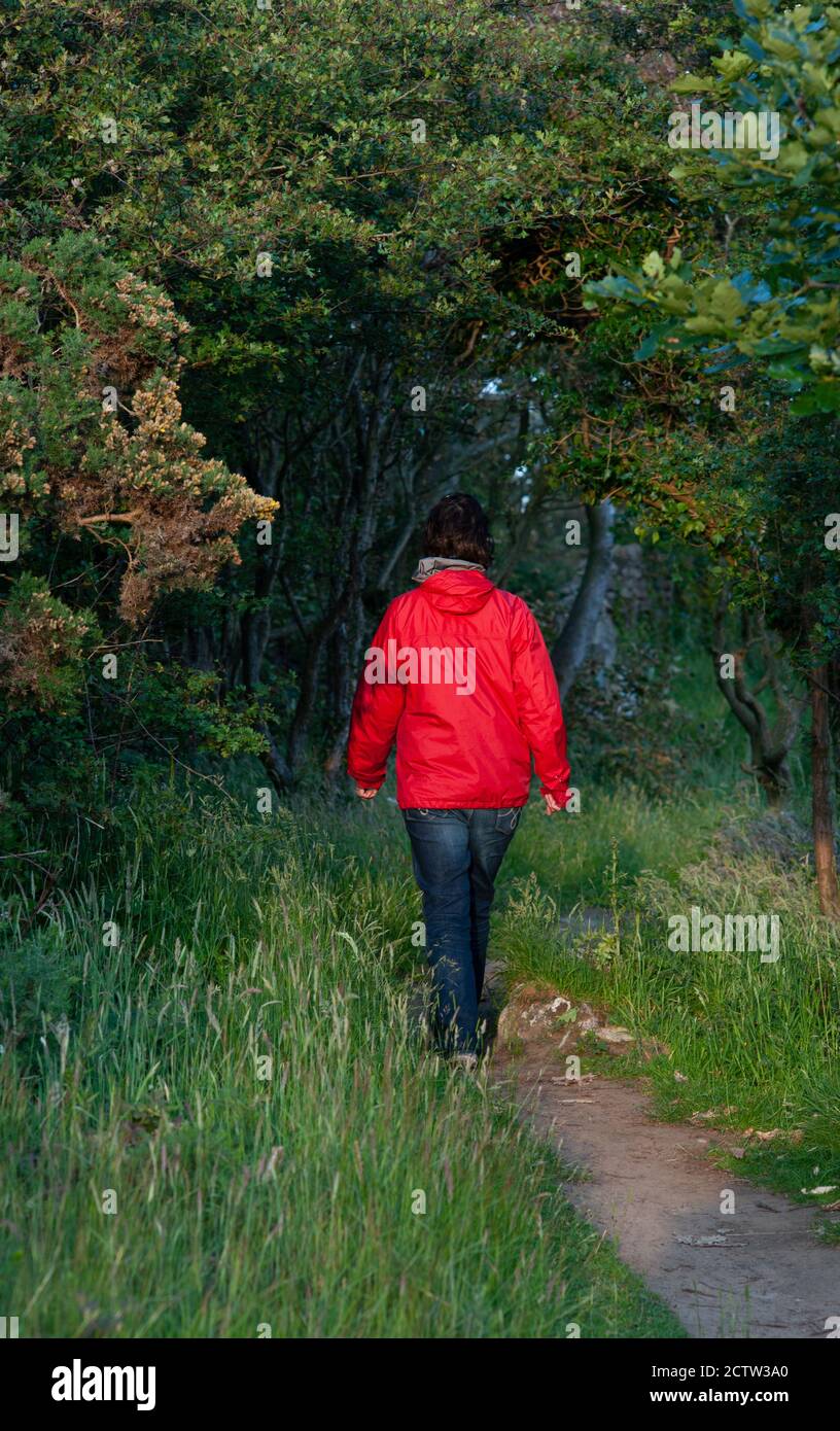 A woman entering a forest on a small trail. Stock Photo