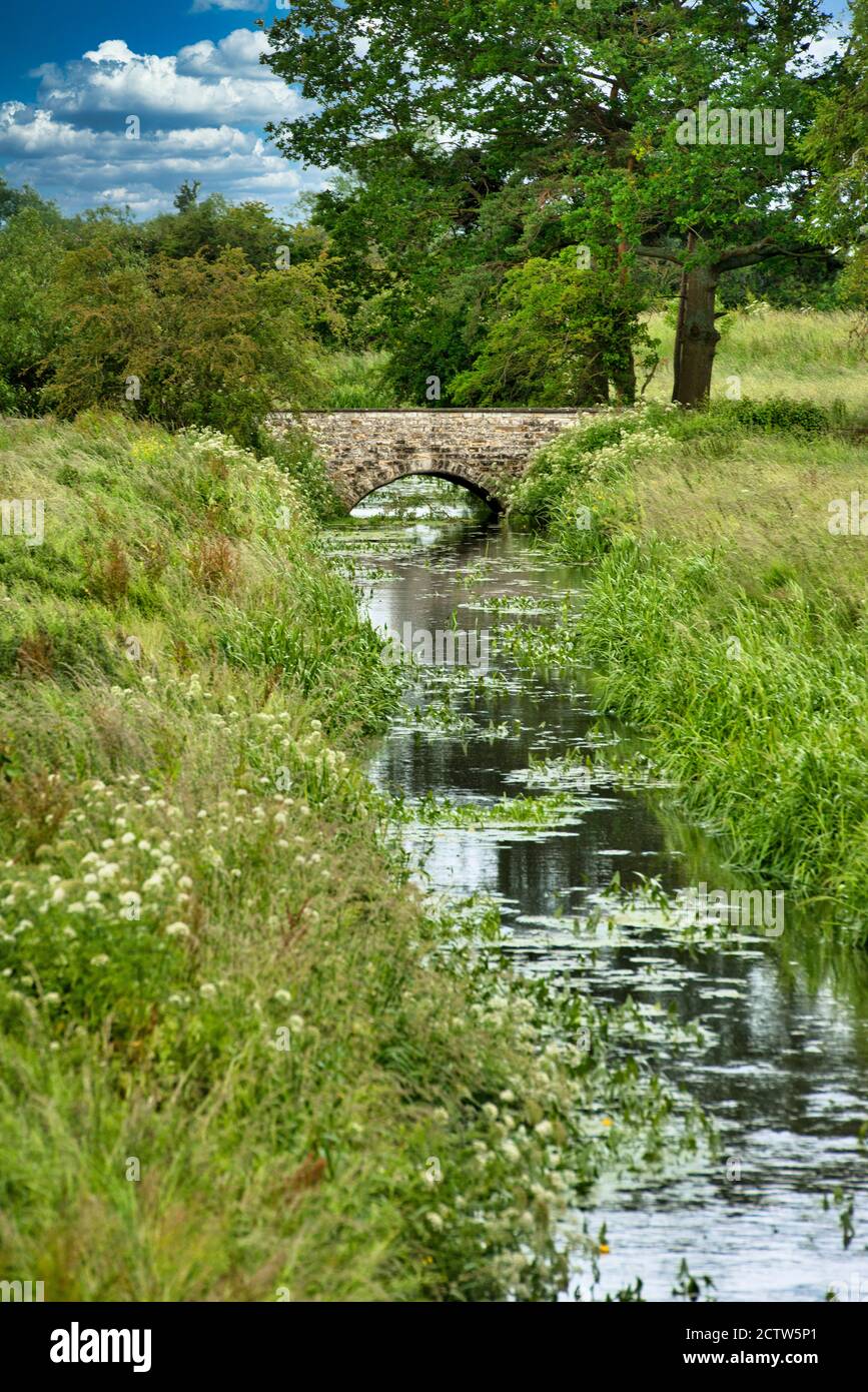 Glastonbury stone bridge over a rocky stream on a beautify, blue sky day. Somerset, England. Rural landscape. Vertical view. Copy space. Stock Photo