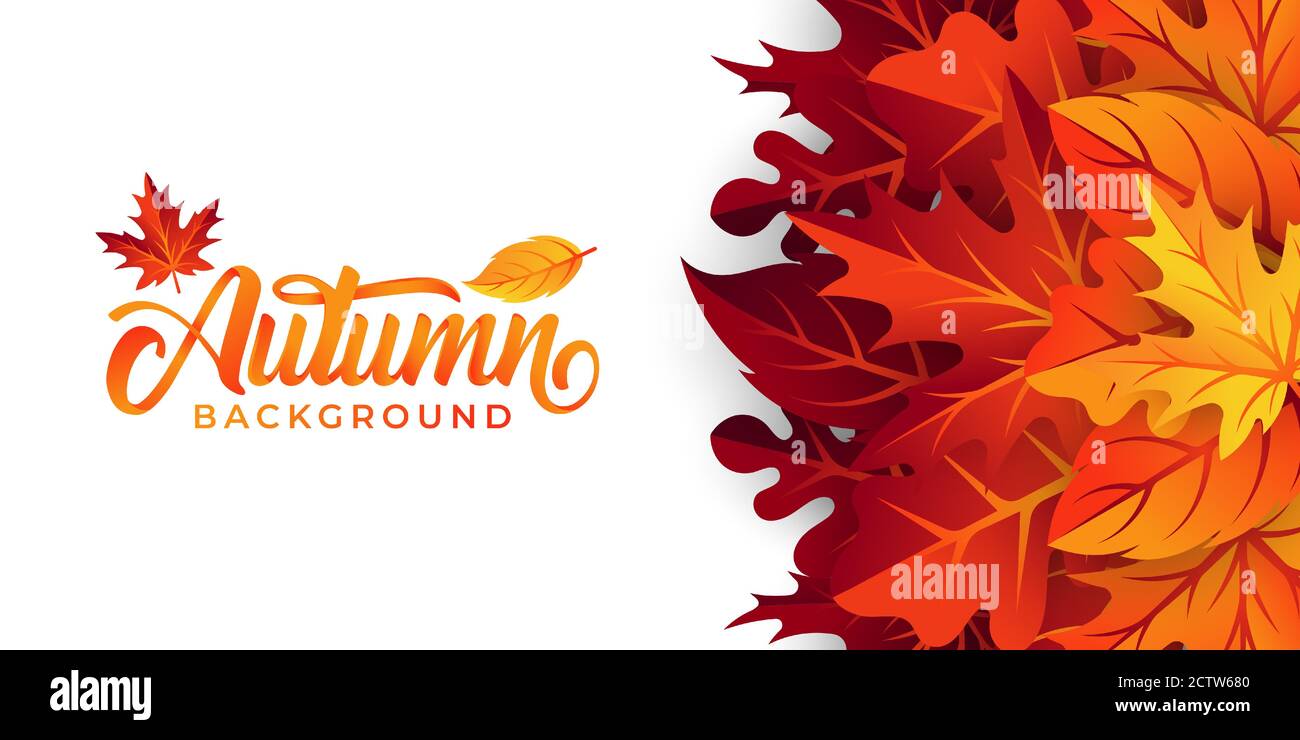 Autumn background vector with decorative leaves. Autumn fall Vector ...